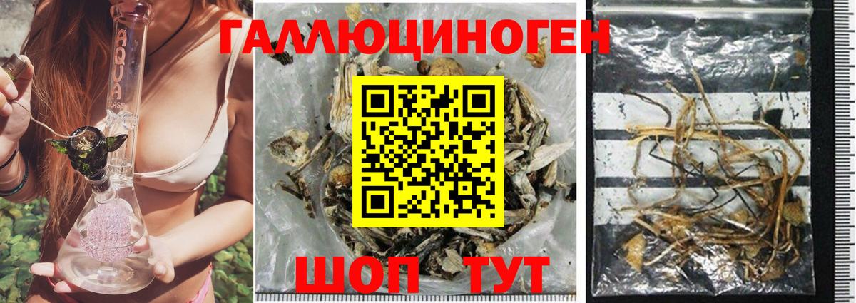 Элиста  Галлюциногенные грибы Magic Shrooms  Вход с VPN 