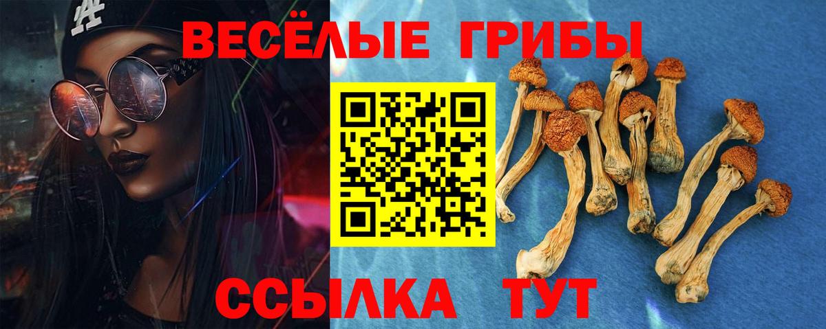 Галлюциногенные грибы Psilocybine cubensis Элиста